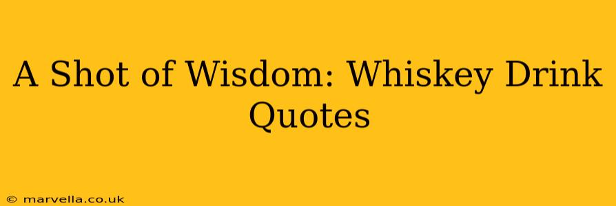 A Shot of Wisdom: Whiskey Drink Quotes