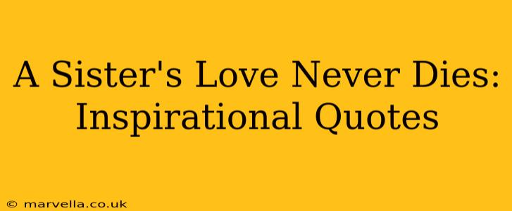 A Sister's Love Never Dies: Inspirational Quotes