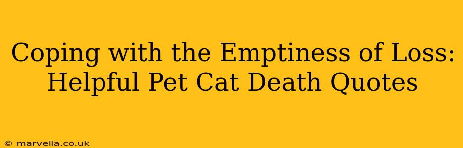 Coping with the Emptiness of Loss: Helpful Pet Cat Death Quotes