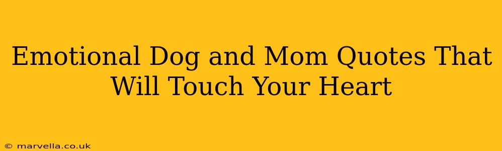 Emotional Dog and Mom Quotes That Will Touch Your Heart