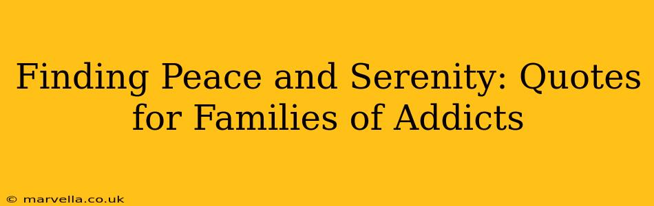 Finding Peace and Serenity: Quotes for Families of Addicts