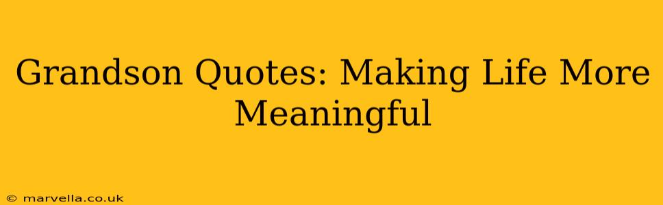 Grandson Quotes: Making Life More Meaningful