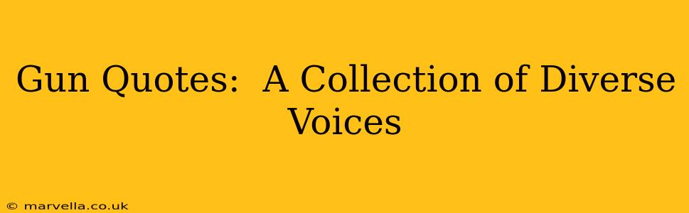 Gun Quotes:  A Collection of Diverse Voices