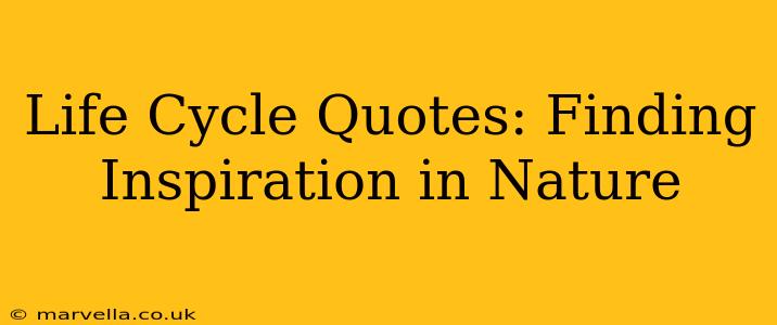 Life Cycle Quotes: Finding Inspiration in Nature