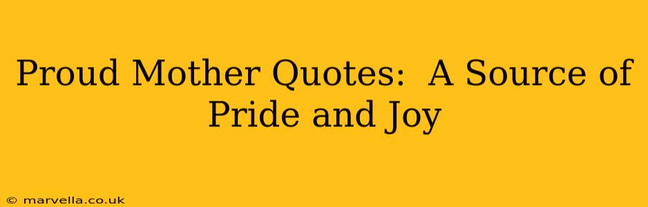 Proud Mother Quotes:  A Source of Pride and Joy