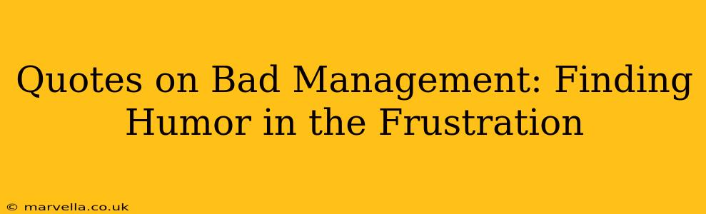 Quotes on Bad Management: Finding Humor in the Frustration