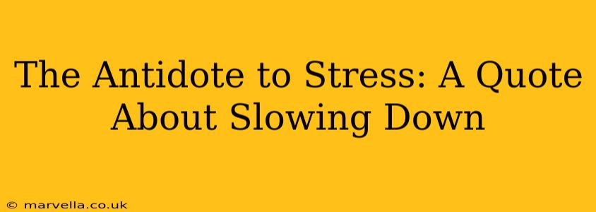 The Antidote to Stress: A Quote About Slowing Down