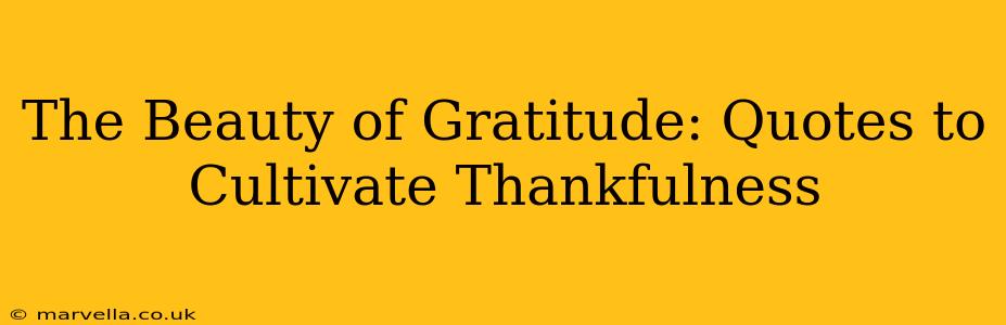 The Beauty of Gratitude: Quotes to Cultivate Thankfulness