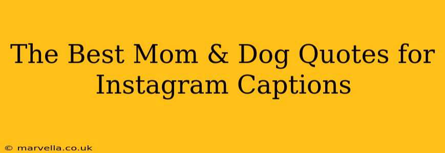 The Best Mom & Dog Quotes for Instagram Captions