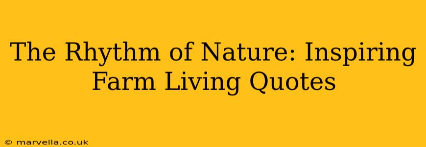 The Rhythm of Nature: Inspiring Farm Living Quotes