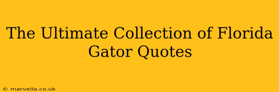 The Ultimate Collection of Florida Gator Quotes