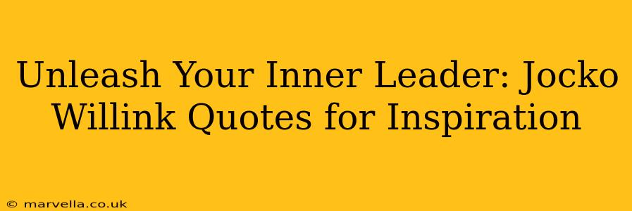 Unleash Your Inner Leader: Jocko Willink Quotes for Inspiration